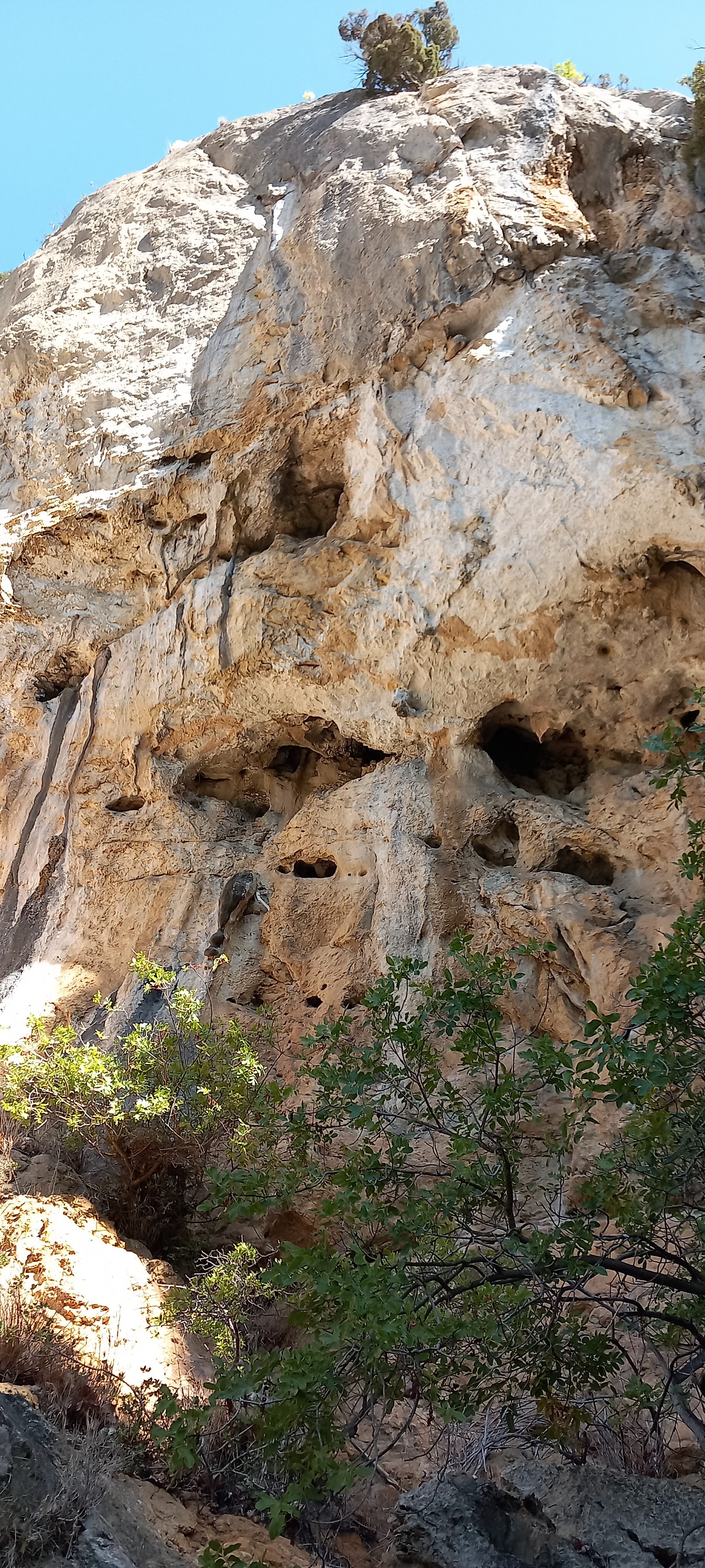 Photo n° 5 de l'avis de Nicolas.a fait le 24/09/2023 à 17:42