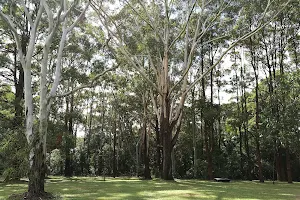 Macquarie Nature Reserve image