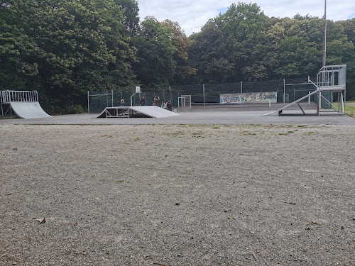 Skate Park à Pancé