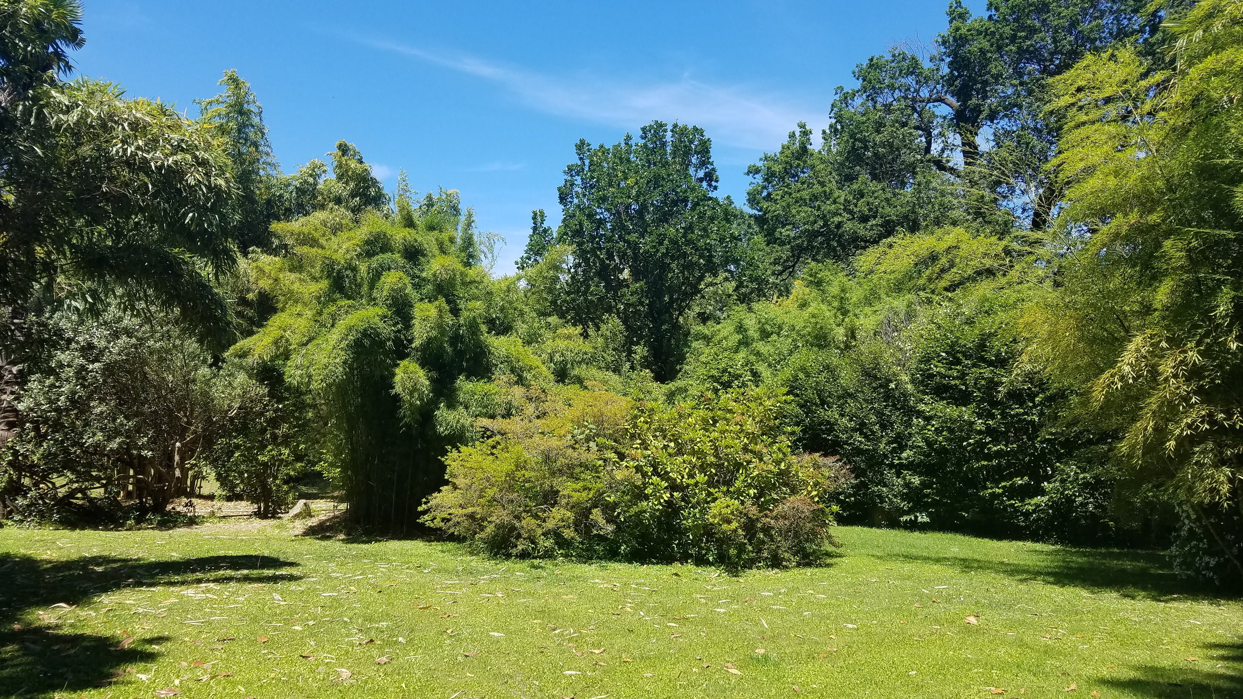 Photo n° 4 de l'avis de peduzzi.l fait le 26/06/2019 à 06:51