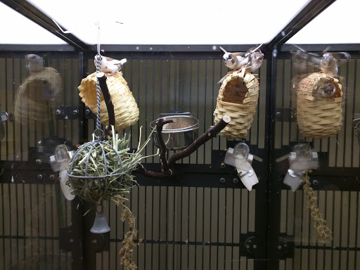 Pet Supply Store «PetSmart», reviews and photos, 1225 Industrial Rd, San Carlos, CA 94070, USA