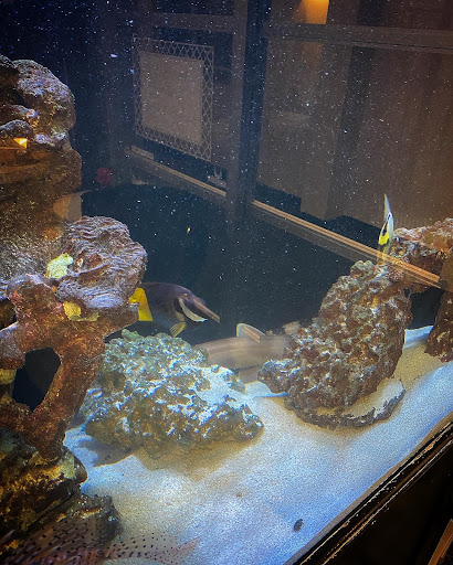 Explore tattoo ideas in memory of mom, creative tattoo ideas in Cary, available at Fine Art Body Piercing By Lilith Mae