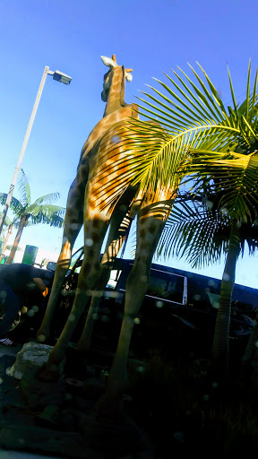 Car Wash «Green Forest Car Wash», reviews and photos, 4649 W Rosecrans Ave, Hawthorne, CA 90250, USA