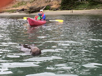 Mountain Sea Adventures - Photo 7 - Car repair in Santa Cruz, CA, Santa Cruz