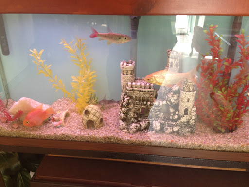 Funeral Home «Riverdale Funeral Home Inc», reviews and photos, 5044 Broadway, New York, NY 10034, USA