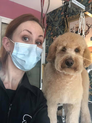 Le chien bleu à Escaudain