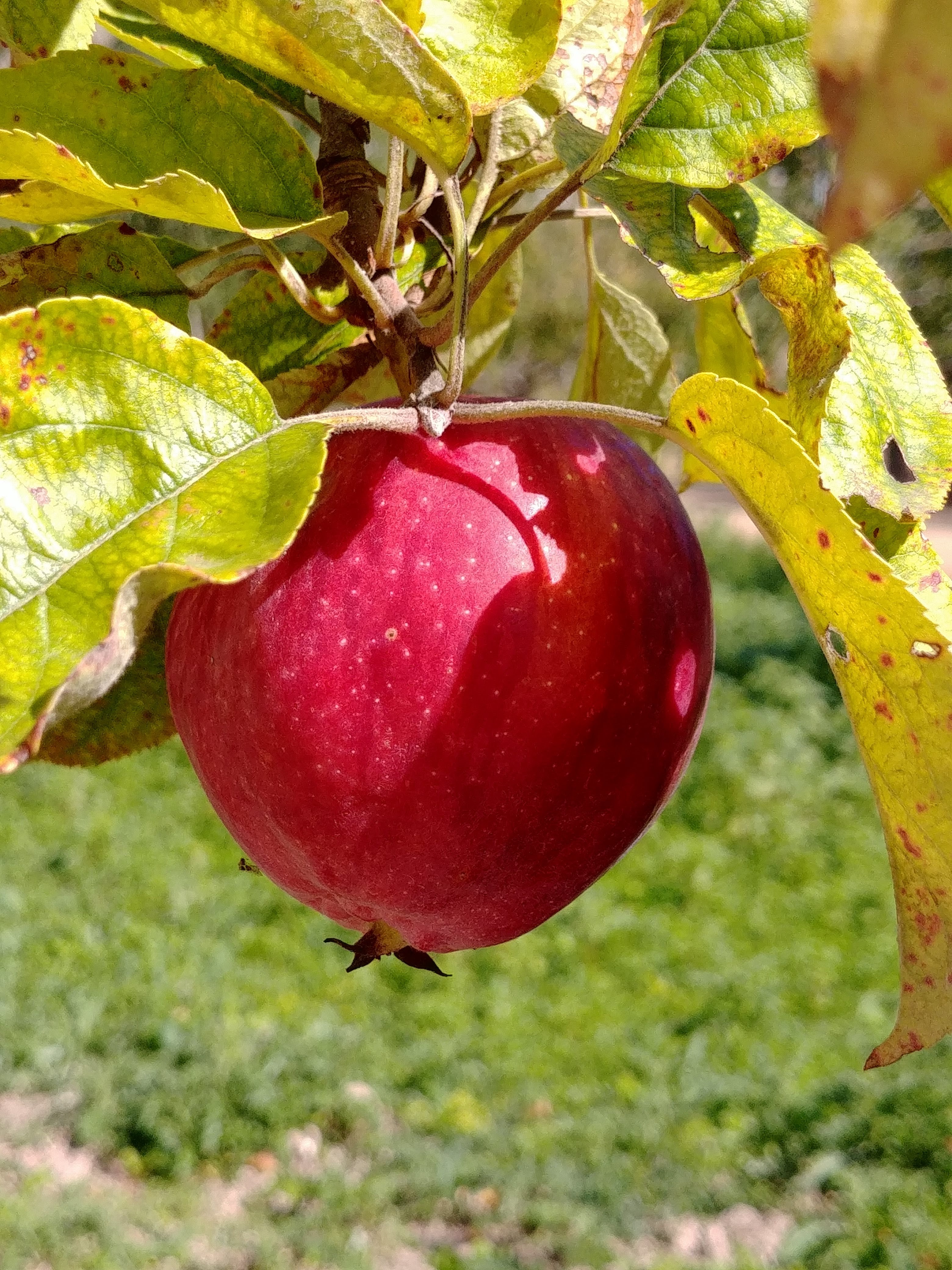 Photo n° 1 de l'avis de Hélène.. fait le 13/09/2020 à 13:18