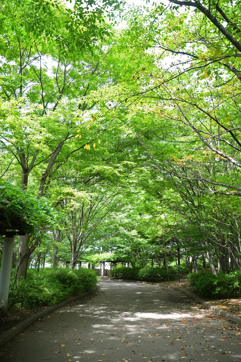 小布施総合公園 長野県小布施町大島 公園 公園 グルコミ