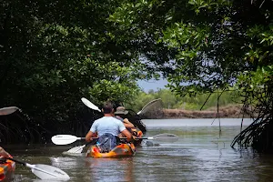 KAYAK & CO image