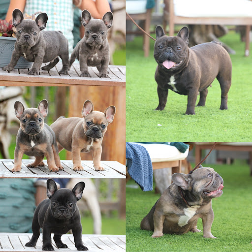 TRC Veterinary Services image