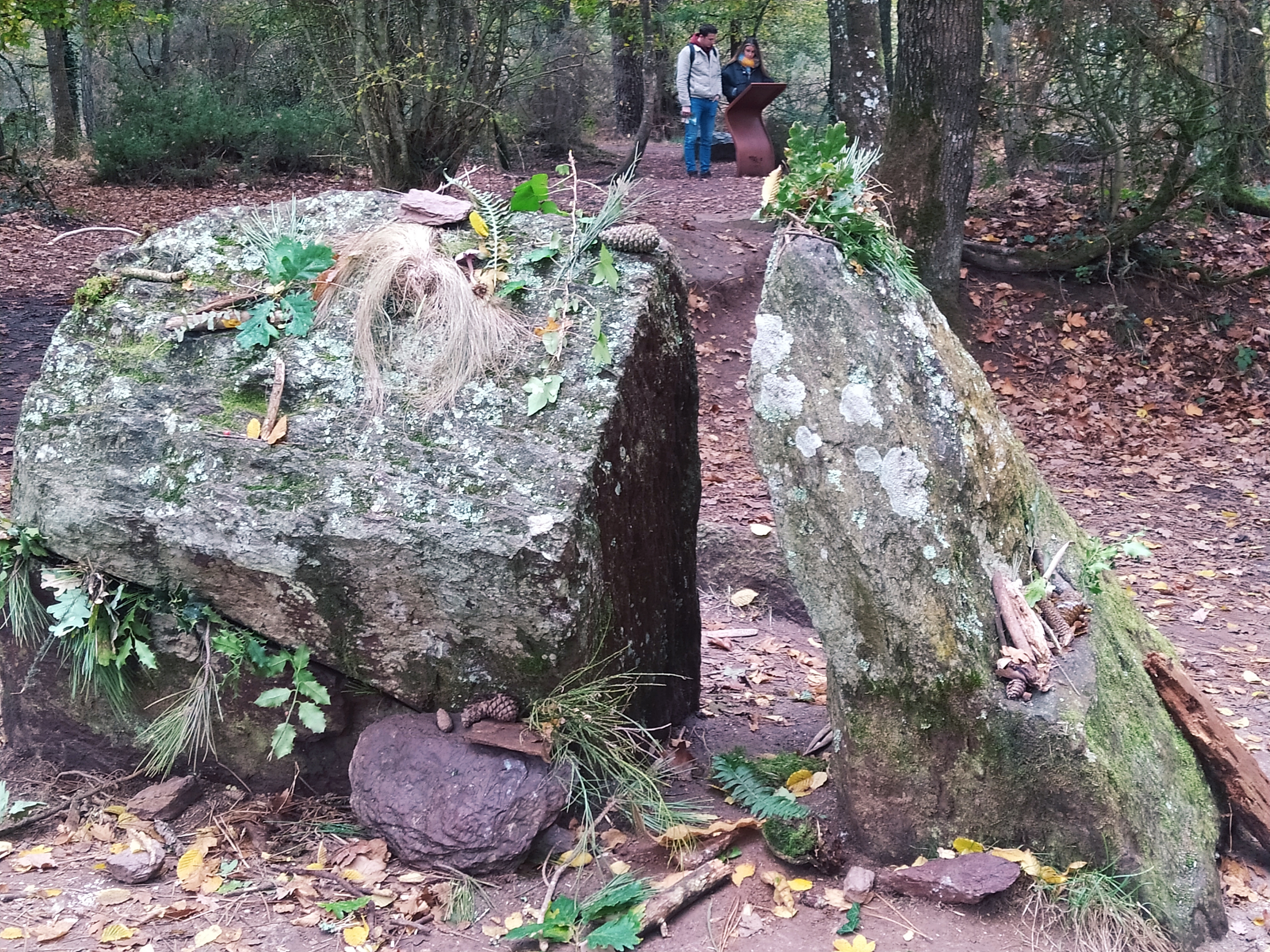 Photo n° 2 de l'avis de Laurence.o fait le 18/11/2021 à 17:17