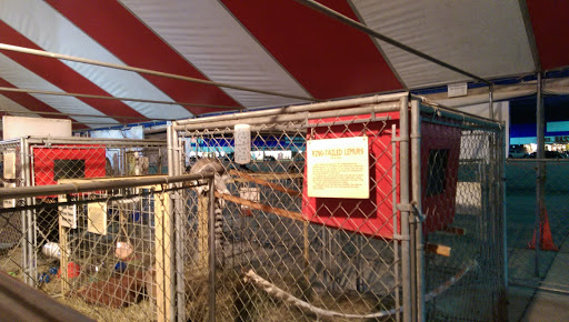 Outlet Store «Sikeston Factory Outlet Stores», reviews and photos, 100 Outlet Dr, Sikeston, MO 63801, USA