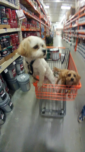 Home Improvement Store «The Home Depot», reviews and photos, 3101 Manawa Center Dr, Council Bluffs, IA 51501, USA