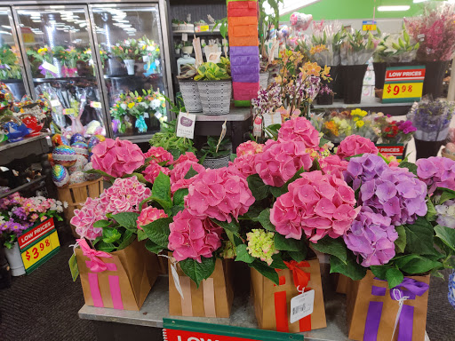 Grocery Store «H-E-B Grocery», reviews and photos, 1434 Wells Branch Pkwy, Pflugerville, TX 78660, USA