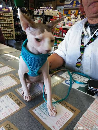 Pet Supply Store «Marvin Grain & Pet Supply», reviews and photos, 31 Cove Rd, South Dartmouth, MA 02748, USA