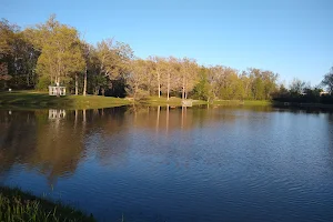 Binkley Woods and Spector Lake image
