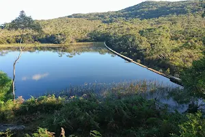 Lake Toolooma image