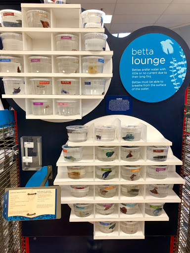 Pet Supply Store «Petco Animal Supplies», reviews and photos, 2005 Crow Canyon Pl, San Ramon, CA 94583, USA