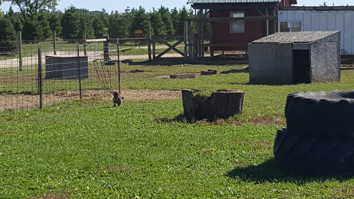 Christmas Tree Farm «Piney Acres», reviews and photos, 1115 E 1000 N, Fortville, IN 46040, USA