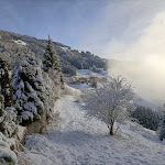 Photo n°9 de l'avis de Erman.. fait le 03/01/2024 à 14:28 sur le  Bellavista à Dosoledo di Comelico Superiore
