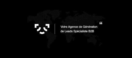 SMMA Votre Agence de Génération de Leads Spécialiste B2B- Suisse