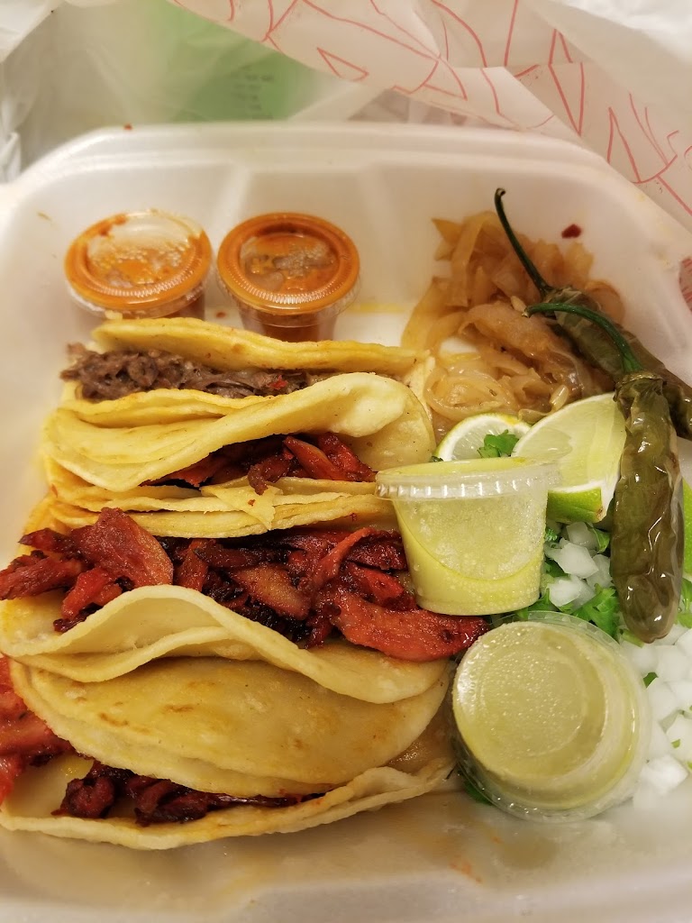 Taco Palacio 76017