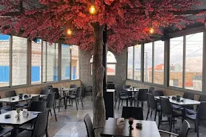 Blossom caffe image