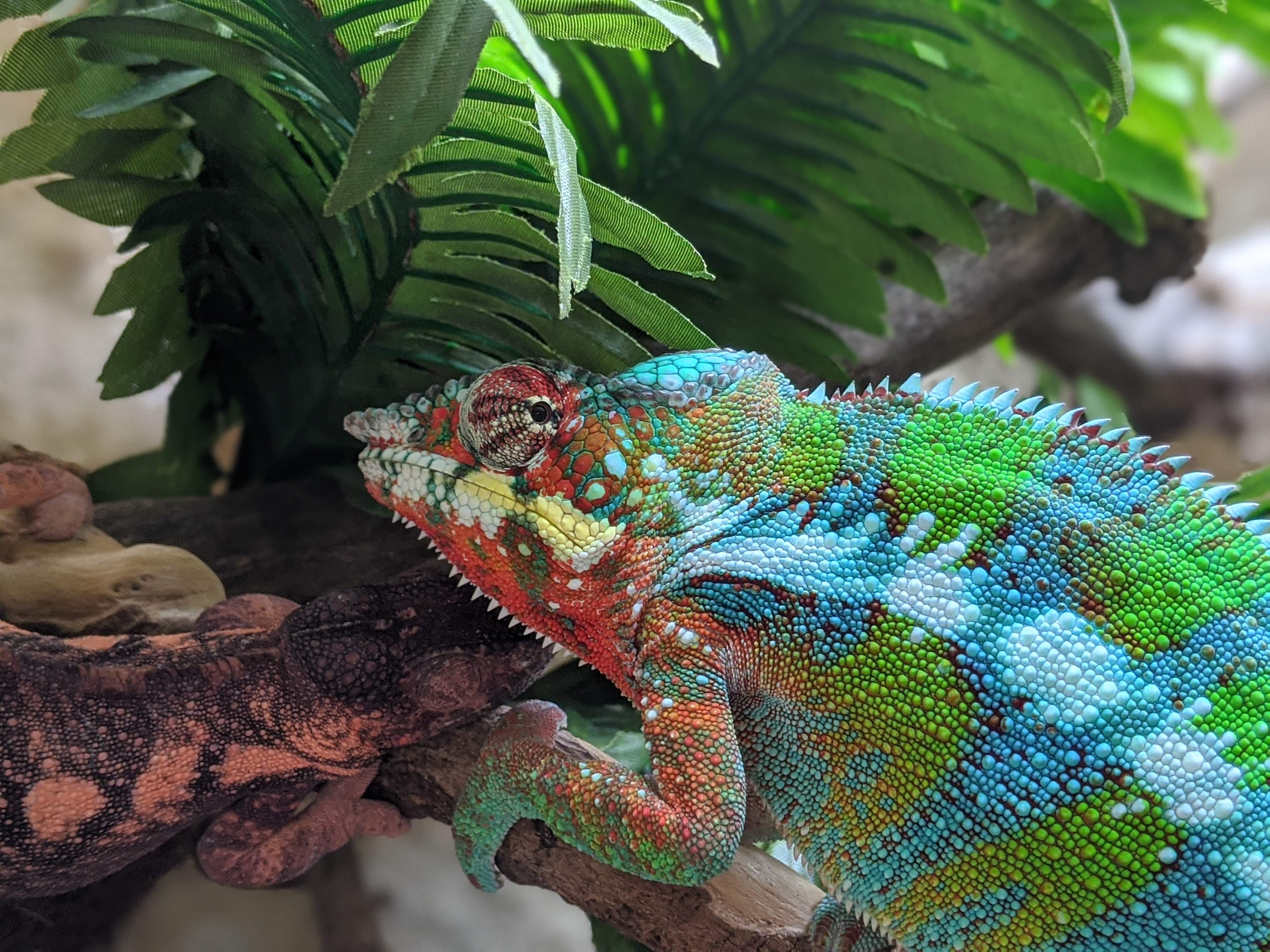 Photo n° 3 de l'avis de Gabin.u fait le 09/12/2013 à 19:36