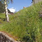 Photo n°1 de l'avis de Otto.i fait le 15/06/2019 à 22:50 sur le  Hotel Gasthof Residence Rabenstein à Moos in Passeier