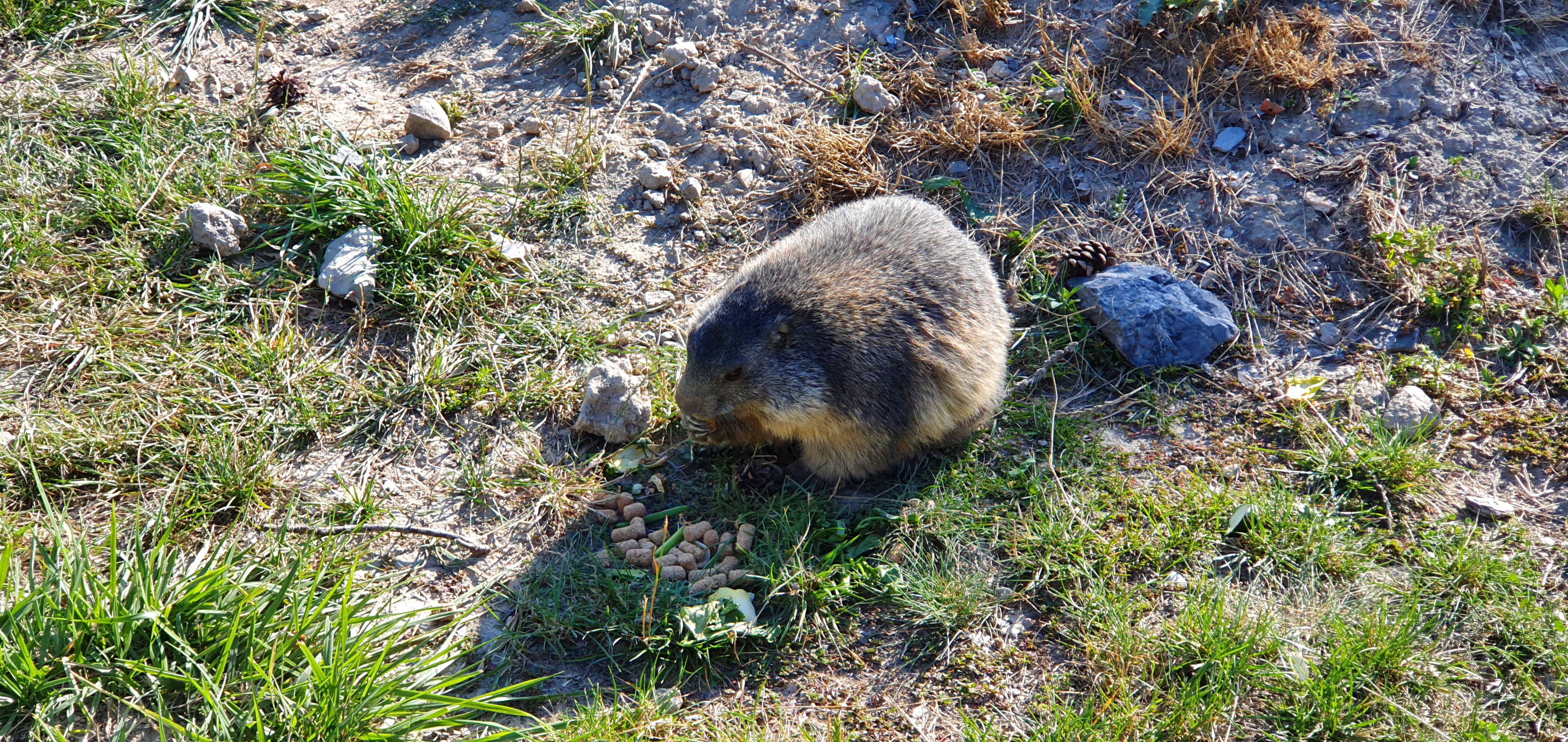 Photo n° 1 de l'avis de Alain.R fait le 30/08/2021 à 21:58