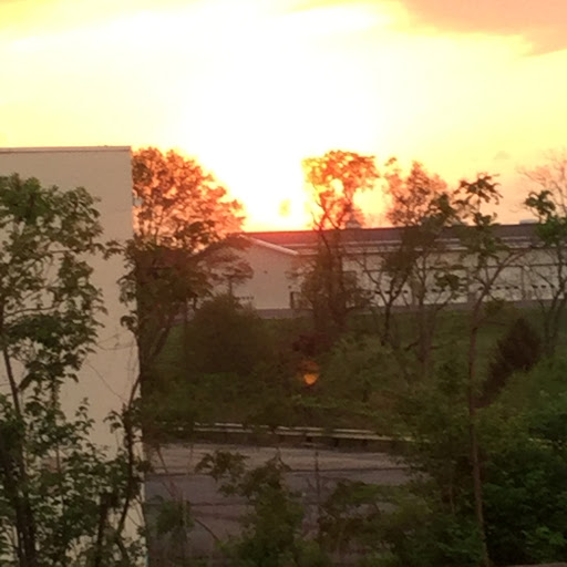 Supermarket «Weis Markets», reviews and photos, 3011 William Penn Hwy, Easton, PA 18045, USA