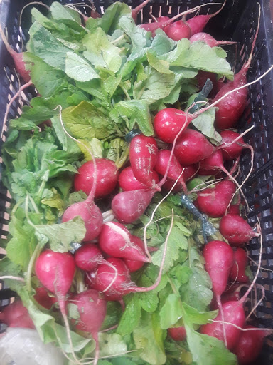 Supermarket «Mexican Supermarket Inc», reviews and photos, 2099 W Atlantic Blvd, Pompano Beach, FL 33069, USA