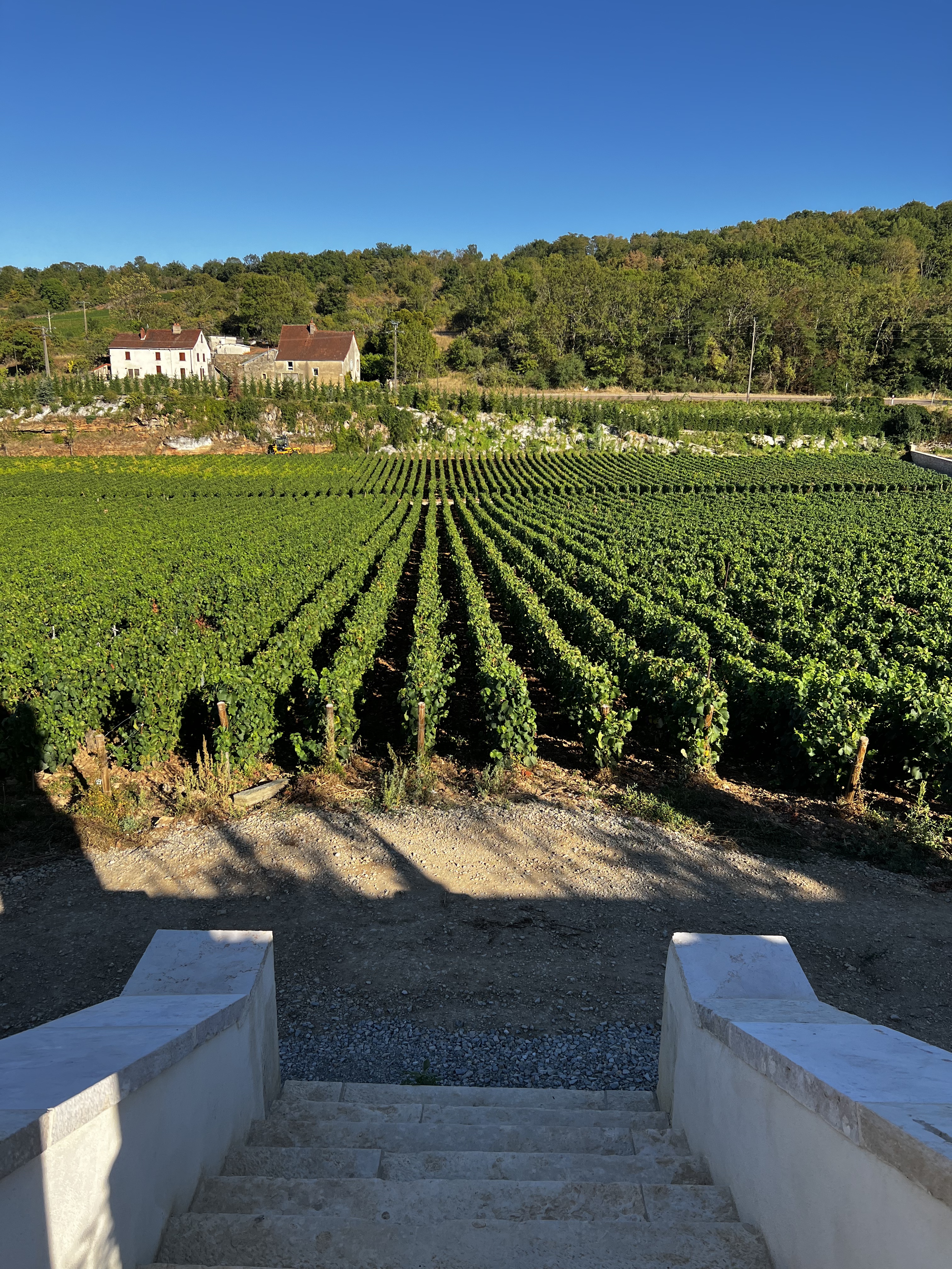 Photo n° 1 de l'avis de Zara.a fait le 18/10/2022 à 20:31