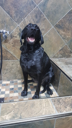 Pet Store «Pet Valu», reviews and photos, 2290 Central Park Ave, Yonkers, NY 10701, USA