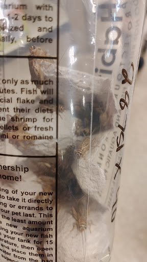 Pet Supply Store «PetSmart», reviews and photos, 2544 Crossing Cir, Traverse City, MI 49684, USA