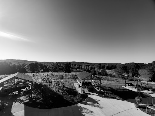 Winery «Chandler Hill Vineyards», reviews and photos, 596 Defiance Rd, Defiance, MO 63341, USA