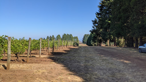 Vineyard «Cubanisimo Vineyards», reviews and photos, 1754 Best Rd NW, Salem, OR 97304, USA