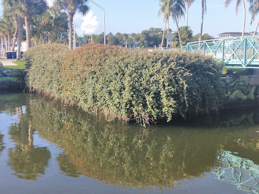 Environmental Protection Organization «Manatee Observation and Education Center», reviews and photos, 480 N Indian River Dr, Fort Pierce, FL 34950, USA