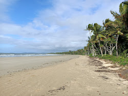 Foto af Mission Beach Foreshore med høj niveau af renlighed