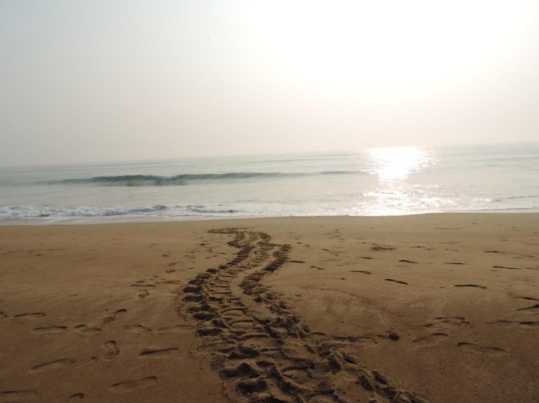 Photo de Purunabandha Sea Beach avec l'eau cristalline de surface