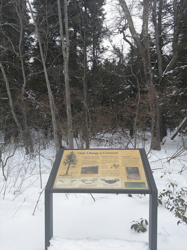 Ski Resort «High Point Cross Country Ski Center», reviews and photos, 1480 NJ-23, Sussex, NJ 07461, USA