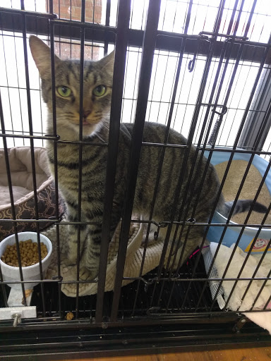 Pet Store «Pet Valu», reviews and photos, 1016 Beards Hill Rd, Aberdeen, MD 21001, USA