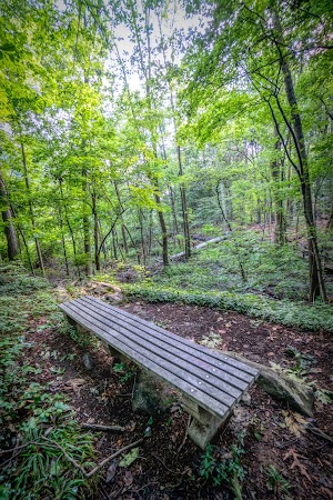 Weinberg Nature Center - photo 75
