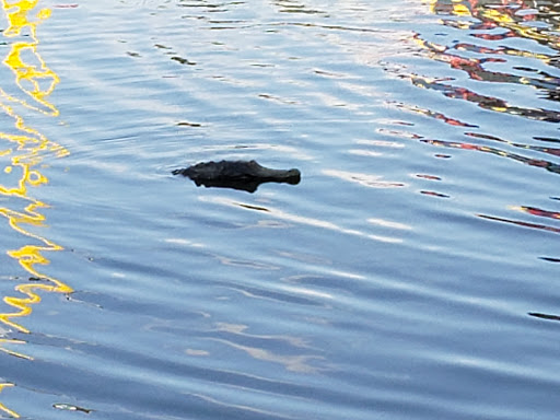 Theme Park «Fun Spot America Theme Parks-Kissimmee», reviews and photos, 2850 Florida Plaza Blvd, Kissimmee, FL 34746, USA