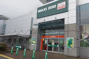 Maxi Zoo Tralee image
