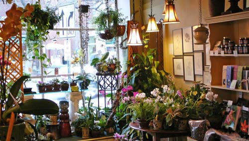 Windham Flowers