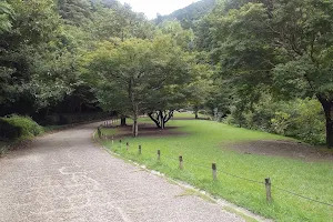 Tsutanohosomichi Park image