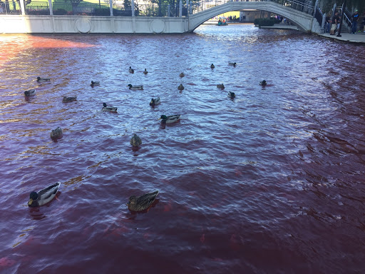 State Park «White River State Park», reviews and photos, 801 W Washington St, Indianapolis, IN 46204, USA