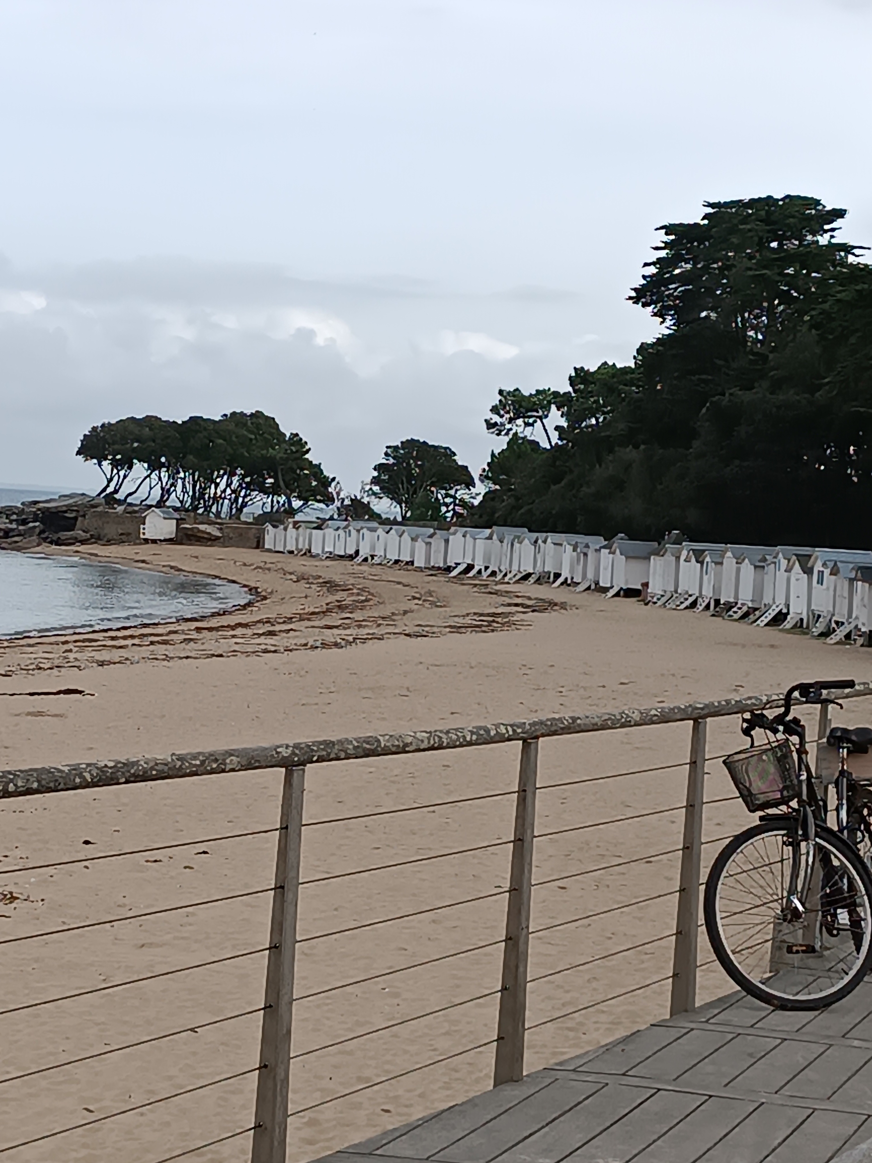 Photo n° 2 de l'avis de Denis.e fait le 13/10/2023 à 04:43