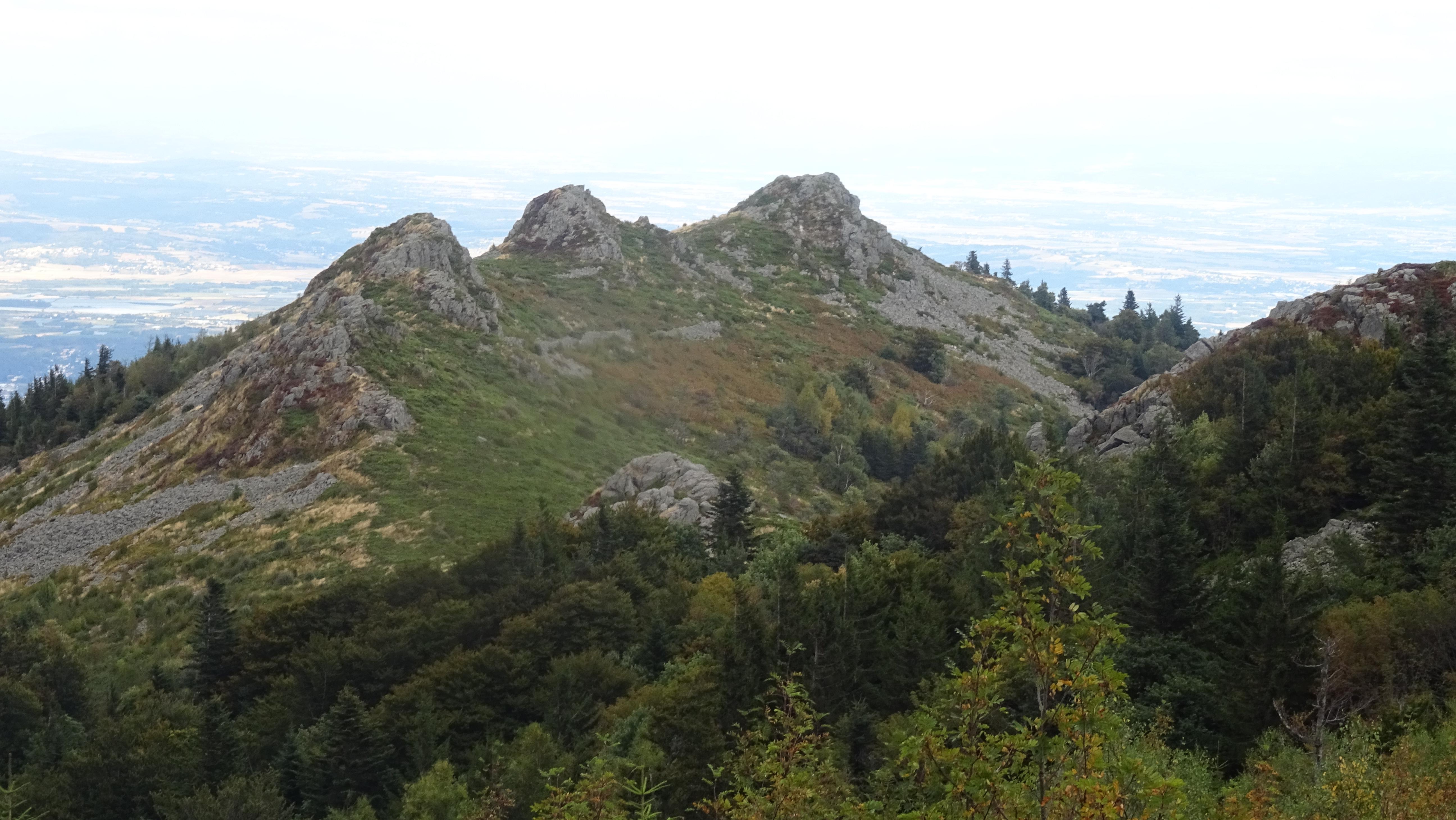 Photo n° 1 de l'avis de Martine.i fait le 10/07/2019 à 16:11